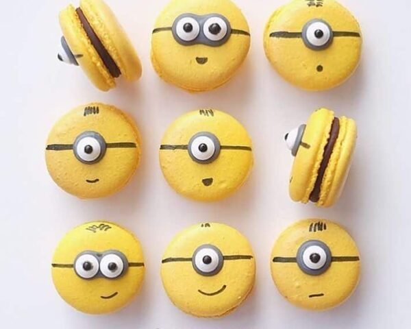 Coffret de Macarons Minion