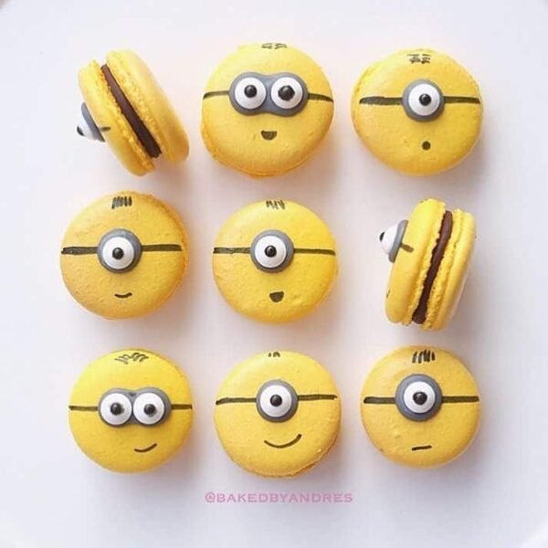 Coffret de Macarons Minion